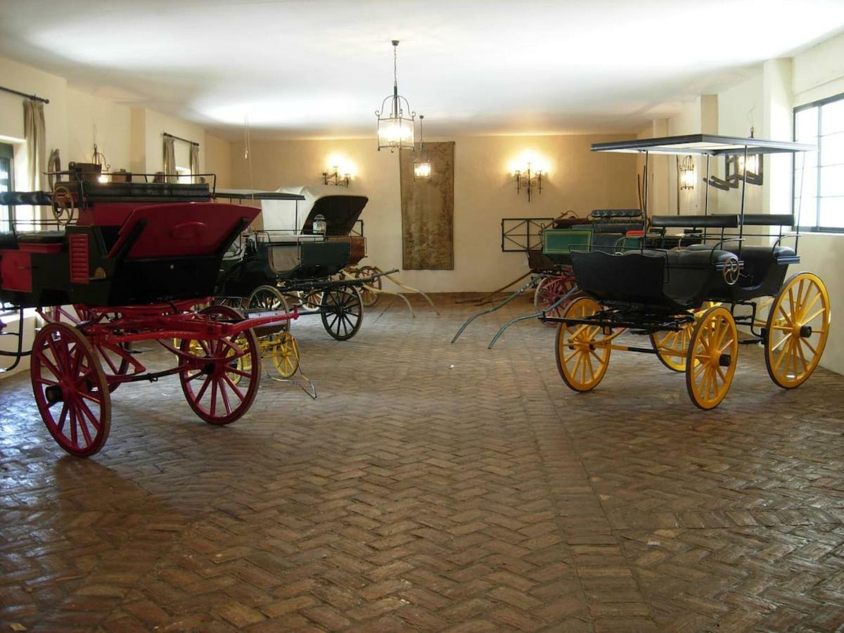 Hacienda Chambergo Casa En La Campina Sevillana Ecija Exterior photo